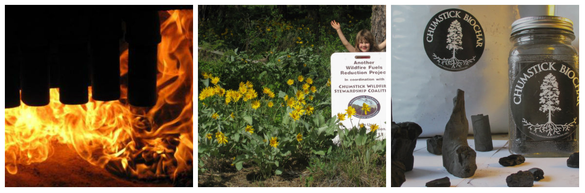 collage of photos including a photo of fire, little girl standing in balsam root flower and a jar of chumstick biochar