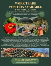 garden help flyer