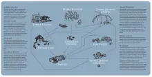 Land Use Cycles