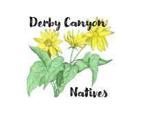 derby canyon natives logo - flowers