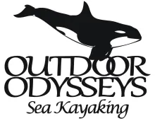 orca whale logo